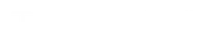 The Stars